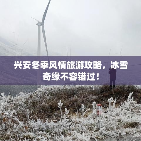 兴安冬季风情旅游攻略，冰雪奇缘不容错过！