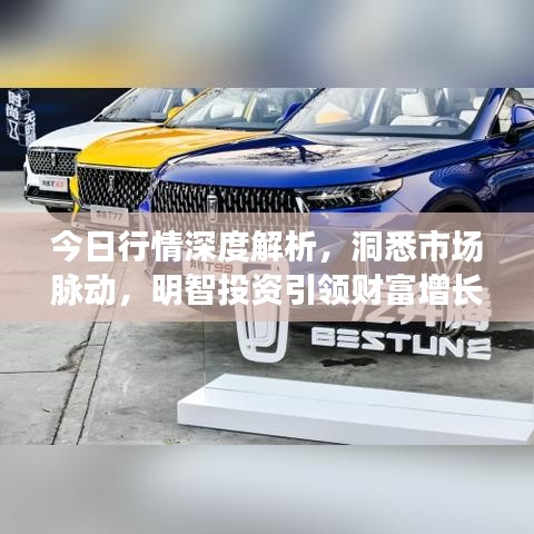 今日行情深度解析，洞悉市场脉动，明智投资引领财富增长！
