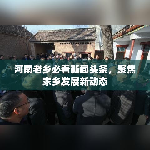 河南老乡必看新闻头条，聚焦家乡发展新动态