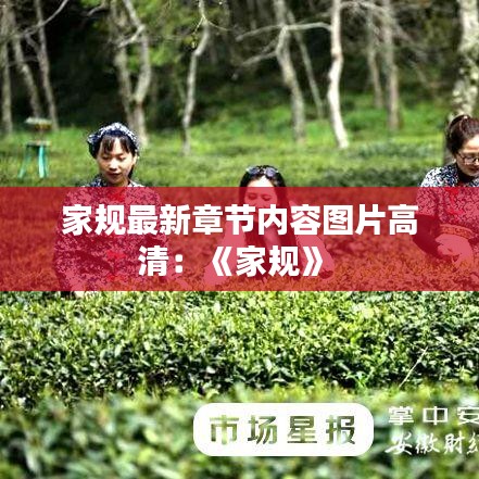 家规最新章节内容图片高清：《家规》 
