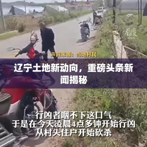 辽宁土地新动向，重磅头条新闻揭秘