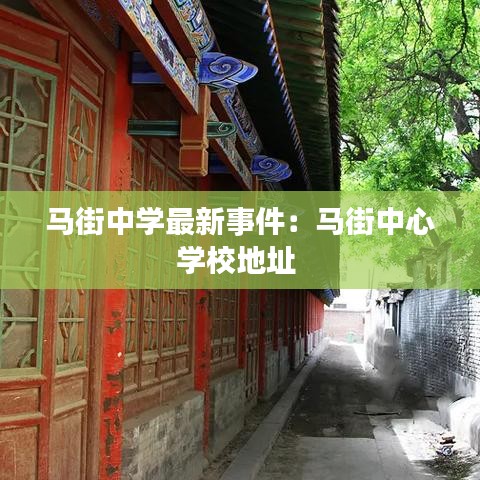 马街中学最新事件：马街中心学校地址 