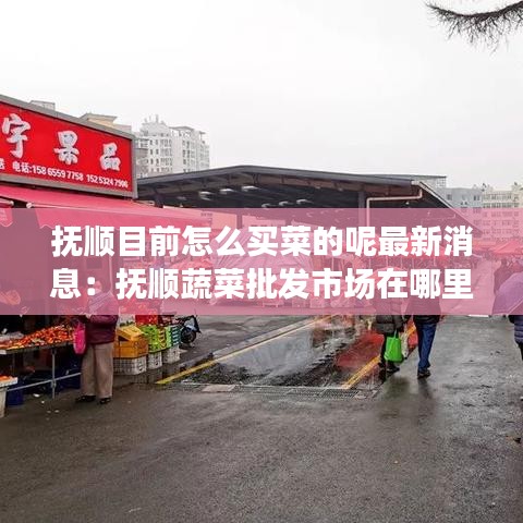 抚顺目前怎么买菜的呢最新消息：抚顺蔬菜批发市场在哪里 