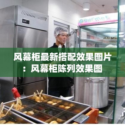 风幕柜最新搭配效果图片：风幕柜陈列效果图 