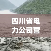 四川省电力公司营收排名大揭秘，领跑行业，业绩惊人！