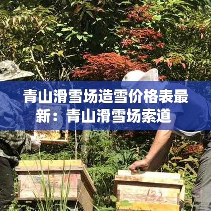 青山滑雪场造雪价格表最新：青山滑雪场索道 