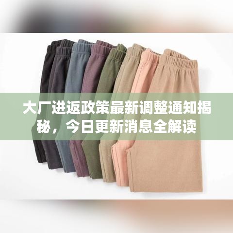 大厂进返政策最新调整通知揭秘，今日更新消息全解读