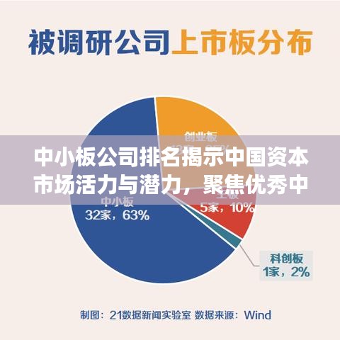 中小板公司排名揭示中国资本市场活力与潜力，聚焦优秀中小板企业全景观察