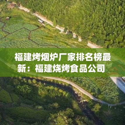 福建烤烟炉厂家排名榜最新：福建烧烤食品公司 