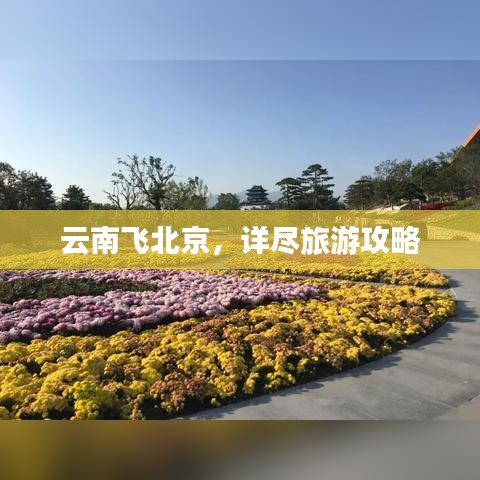 兵贵神速 第2页
