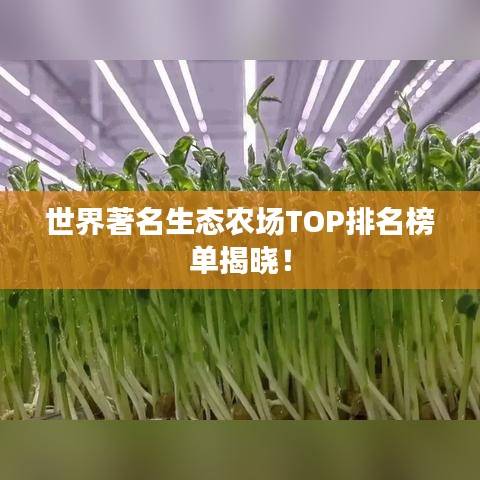 世界著名生态农场TOP排名榜单揭晓！