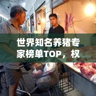 世界知名养猪专家榜单TOP，权威排名揭秘！
