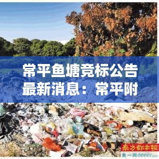 常平鱼塘竞标公告最新消息：常平附近的便宜的水库钓鱼 