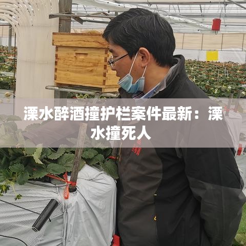 溧水醉酒撞护栏案件最新：溧水撞死人 