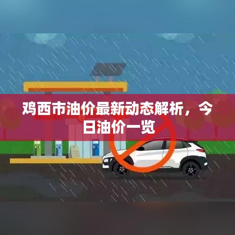 鸡西市油价最新动态解析，今日油价一览