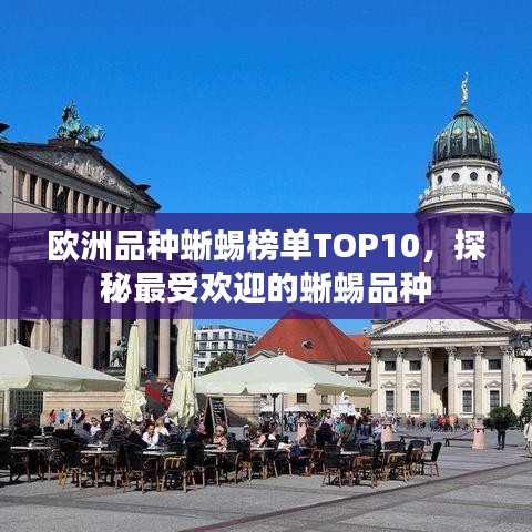 欧洲品种蜥蜴榜单TOP10，探秘最受欢迎的蜥蜴品种