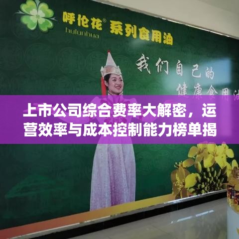上市公司综合费率大解密，运营效率与成本控制能力榜单揭晓！