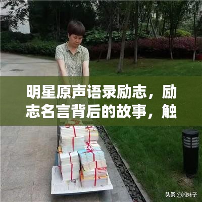 明星原声语录励志，励志名言背后的故事，触动心灵的声音被百度收录！