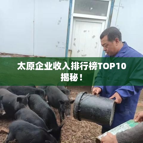 太原企业收入排行榜TOP10揭秘！