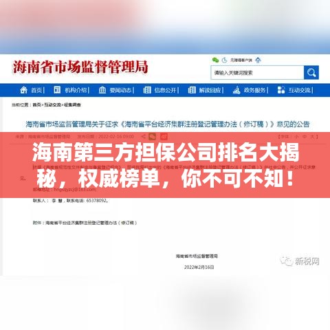 海南第三方担保公司排名大揭秘，权威榜单，你不可不知！