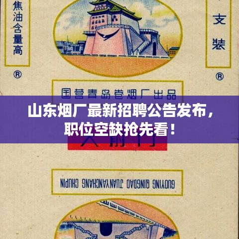 山东烟厂最新招聘公告发布，职位空缺抢先看！