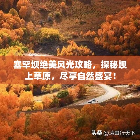 塞罕坝绝美风光攻略，探秘坝上草原，尽享自然盛宴！