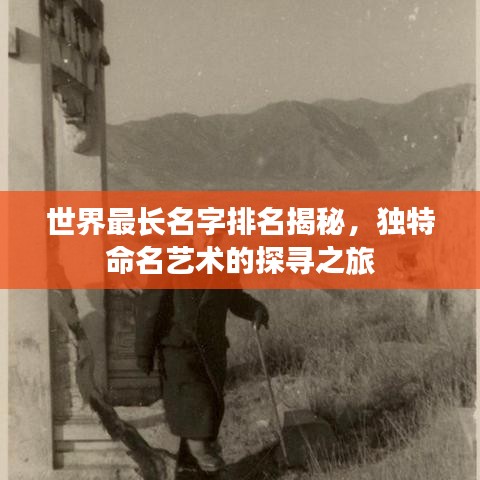 世界最长名字排名揭秘，独特命名艺术的探寻之旅
