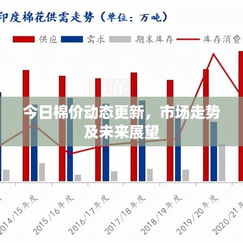 今日棉价动态更新，市场走势及未来展望
