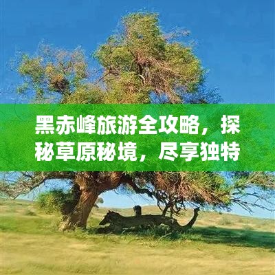 黑赤峰旅游全攻略，探秘草原秘境，尽享独特风情！