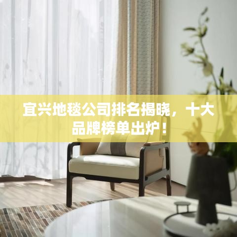 宜兴地毯公司排名揭晓，十大品牌榜单出炉！