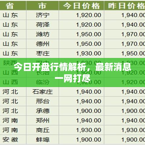今日开盘行情解析，最新消息一网打尽
