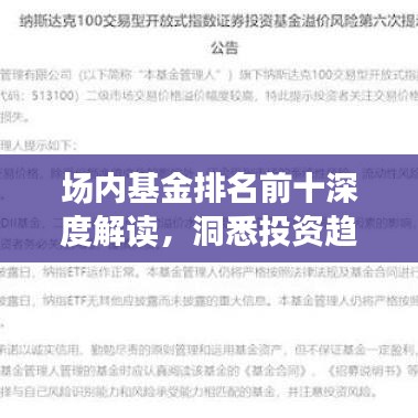 场内基金排名前十深度解读，洞悉投资趋势的图片指南