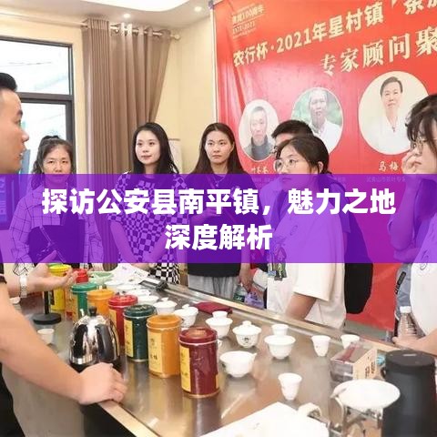 探访公安县南平镇，魅力之地深度解析