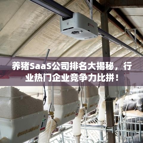 养猪SaaS公司排名大揭秘，行业热门企业竞争力比拼！