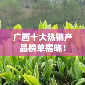 广西十大热销产品榜单揭晓！