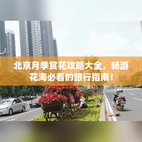 指手画脚 第2页