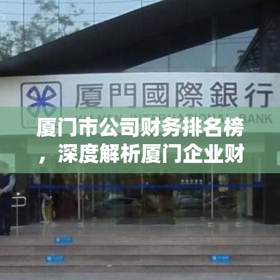 厦门市公司财务排名榜，深度解析厦门企业财务实力