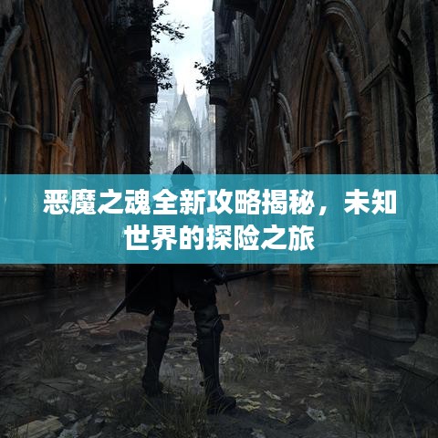 恶魔之魂全新攻略揭秘，未知世界的探险之旅