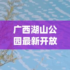 广西湖山公园最新开放时间公告，快来一探究竟！