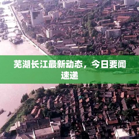 芜湖长江最新动态，今日要闻速递