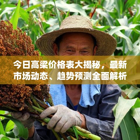 衣不兼彩 第2页