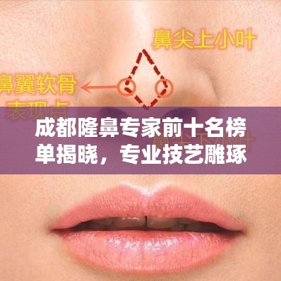 成都隆鼻专家前十名榜单揭晓，专业技艺雕琢美丽鼻型！