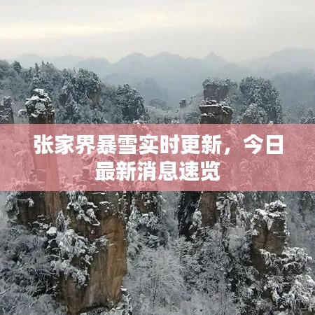 张家界暴雪实时更新，今日最新消息速览