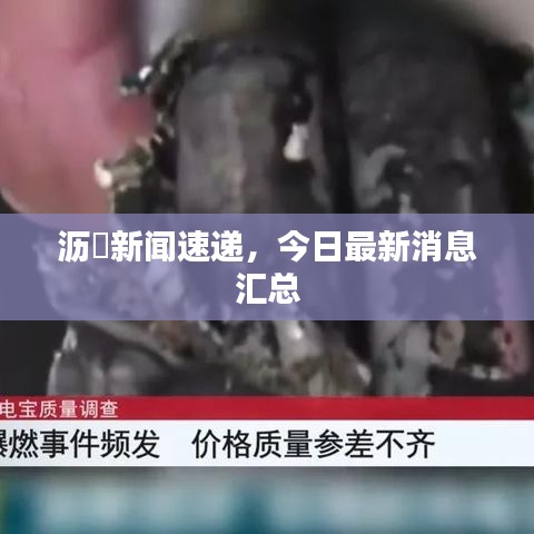 沥滘新闻速递，今日最新消息汇总