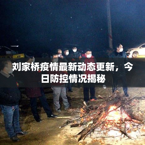 刘家桥疫情最新动态更新，今日防控情况揭秘