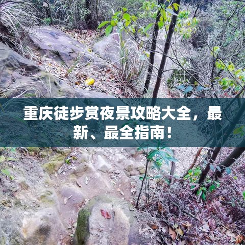 重庆徒步赏夜景攻略大全，最新、最全指南！