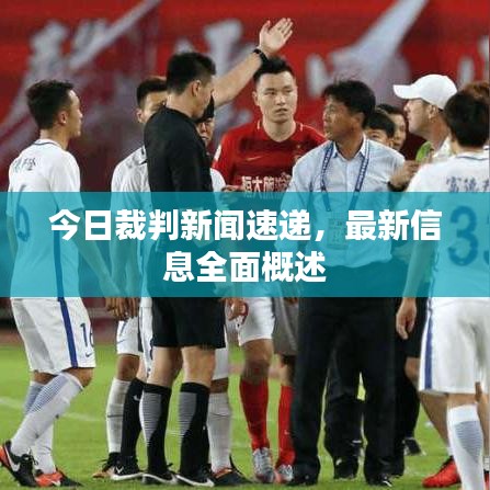 今日裁判新闻速递，最新信息全面概述