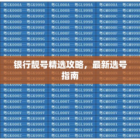 银行靓号精选攻略，最新选号指南
