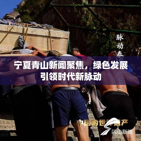 宁夏青山新闻聚焦，绿色发展引领时代新脉动