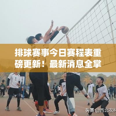 排球赛事今日赛程表重磅更新！最新消息全掌握